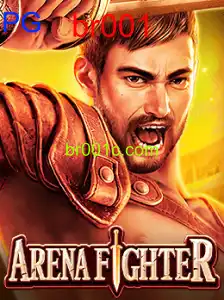 ArenaFighter